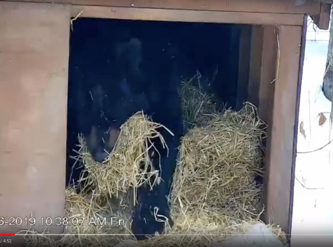 Ted with straw
