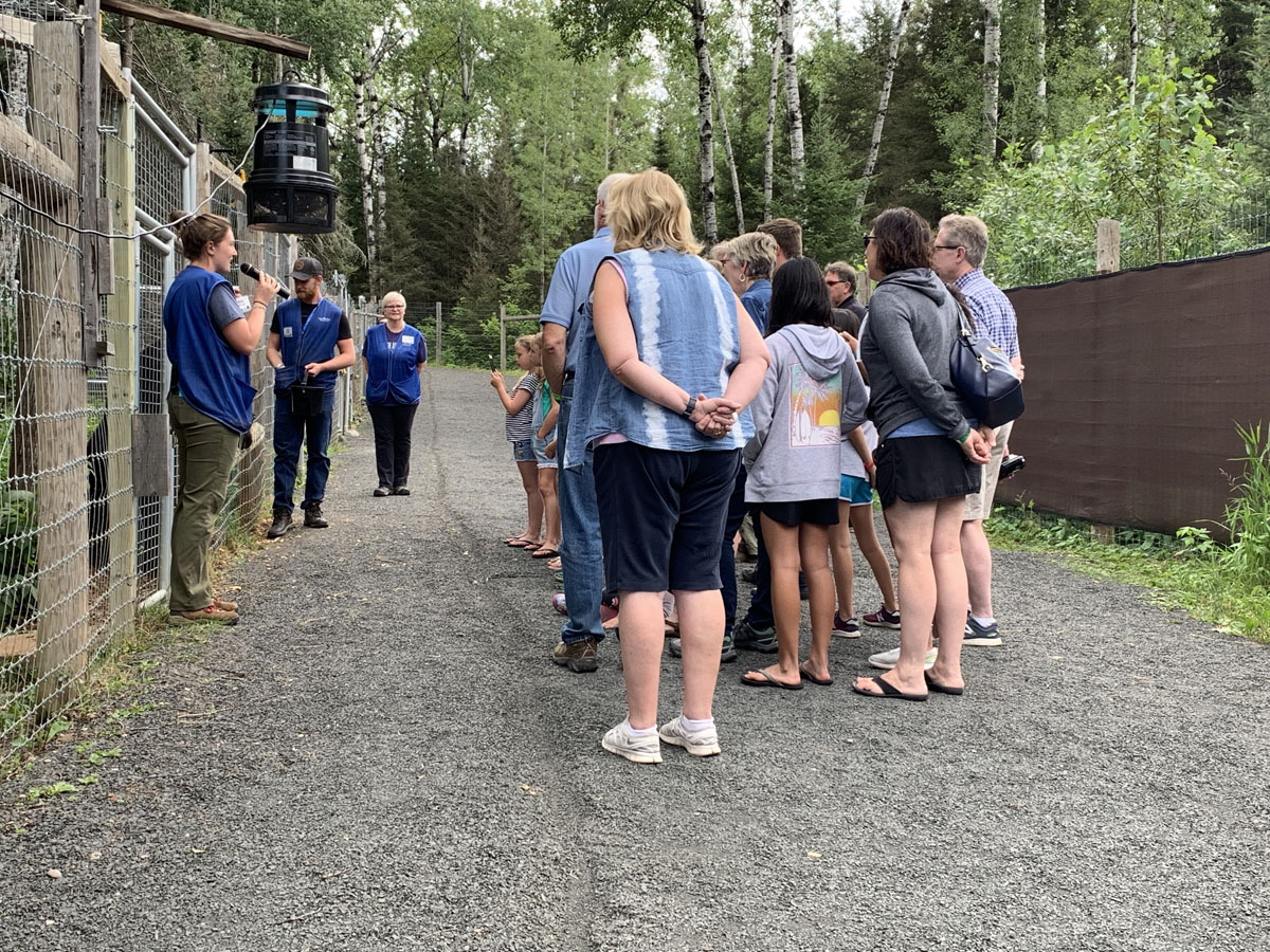 Bear eds and Interns