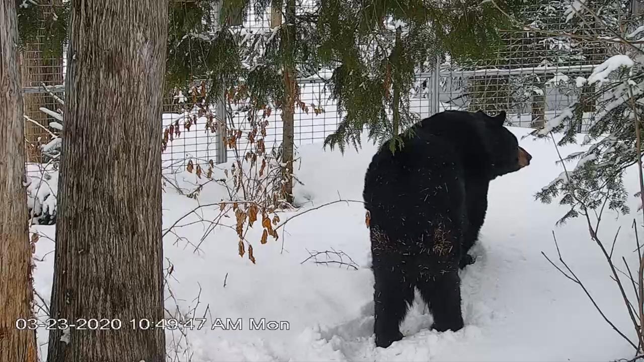 Ted on a walk