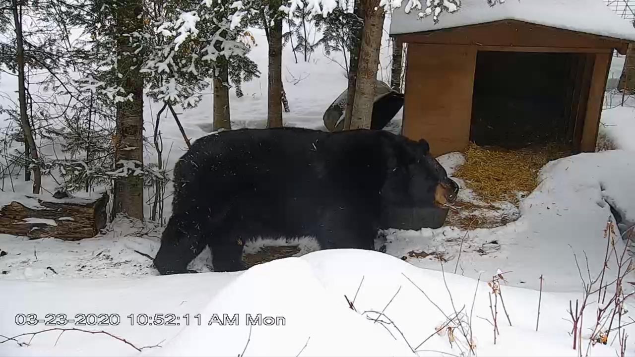 Ted