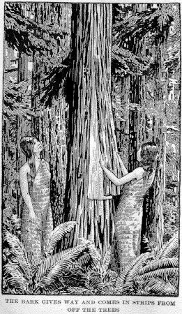 Cedar Bark Clothing