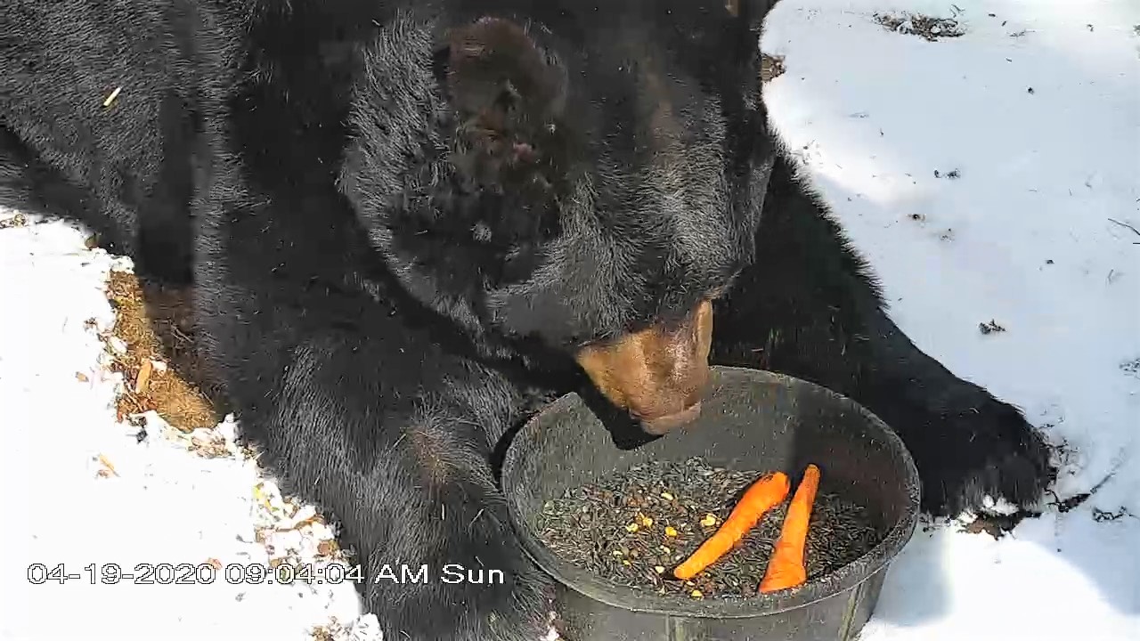 Ted and his bowl