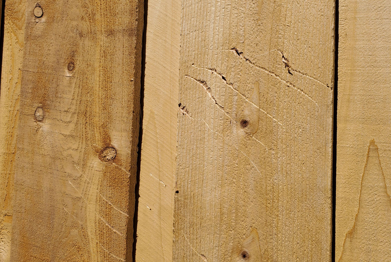 Claw marks