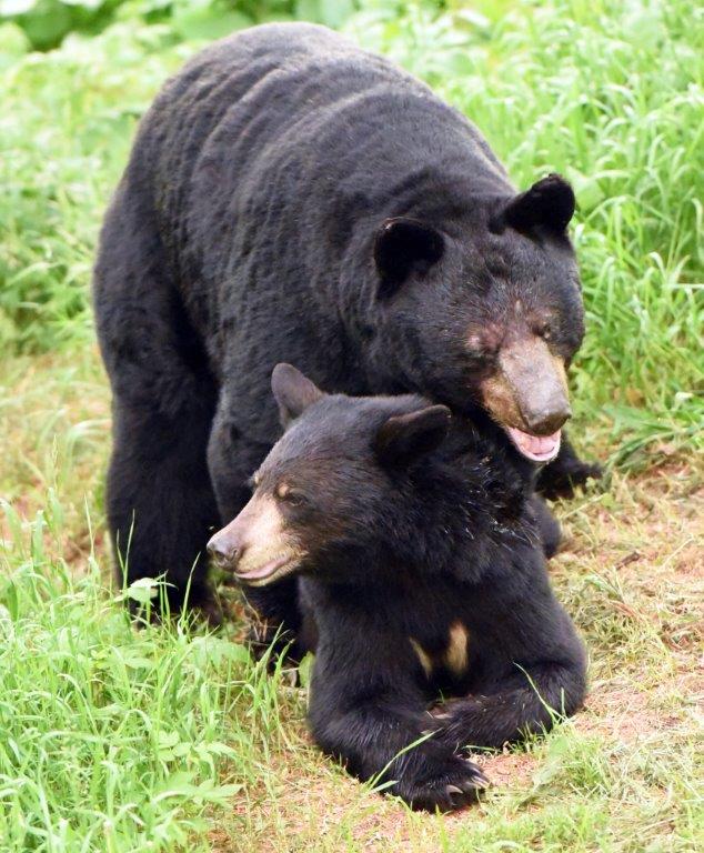 Fred & Chloe 6-16-20