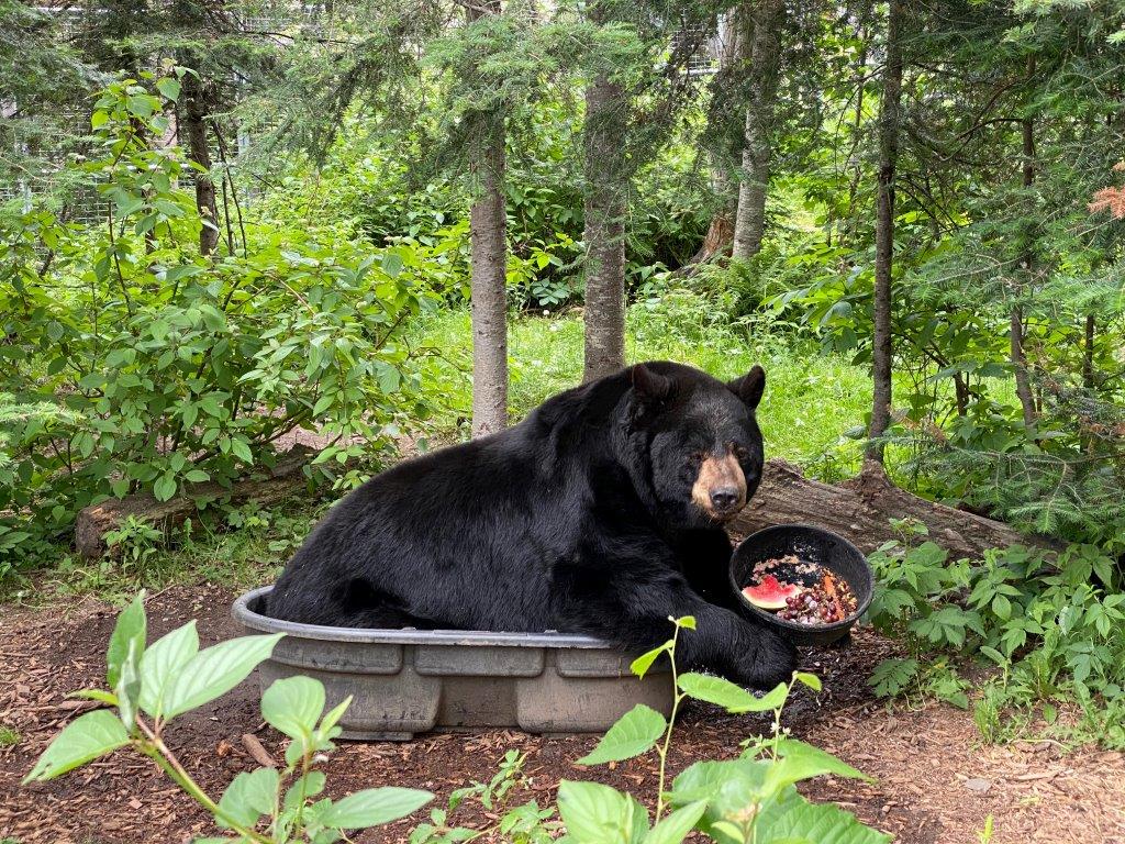 Ted in Tub with dinner