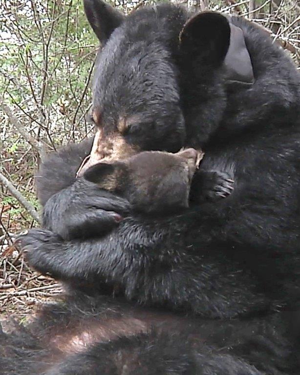 Lily & Hope 4-24-2010