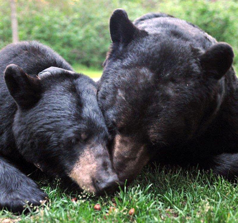 June and Big Harry 6-21-12