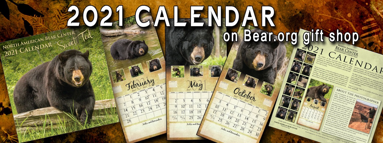 2021 Calendar Update