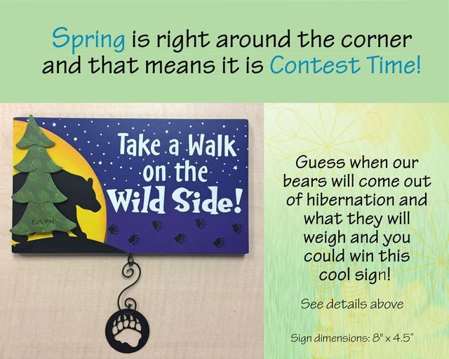 Hibernation Contest
