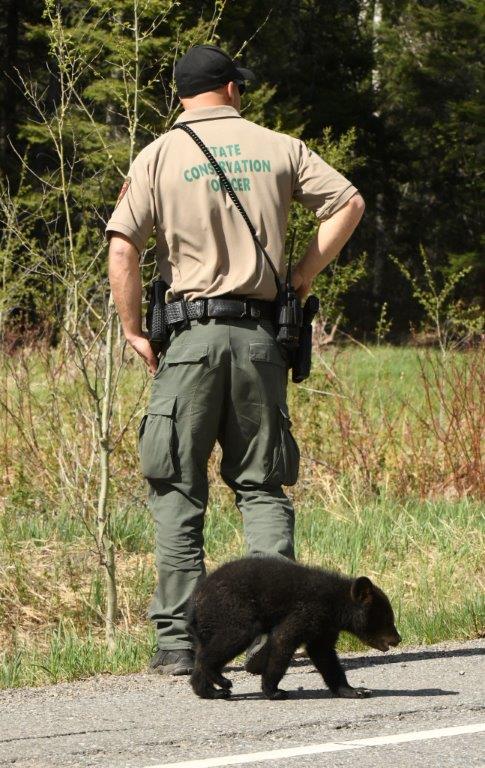 Good Conservation Officer