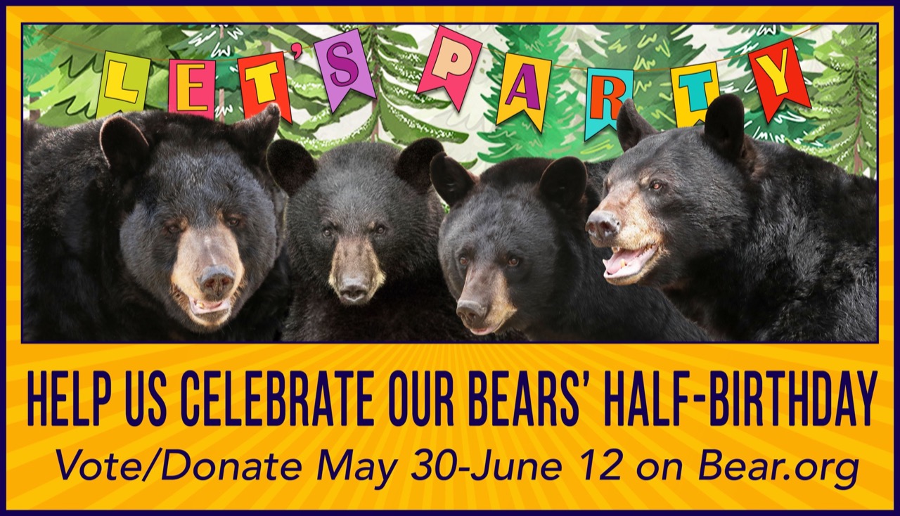 Half Birthday Fundraiser