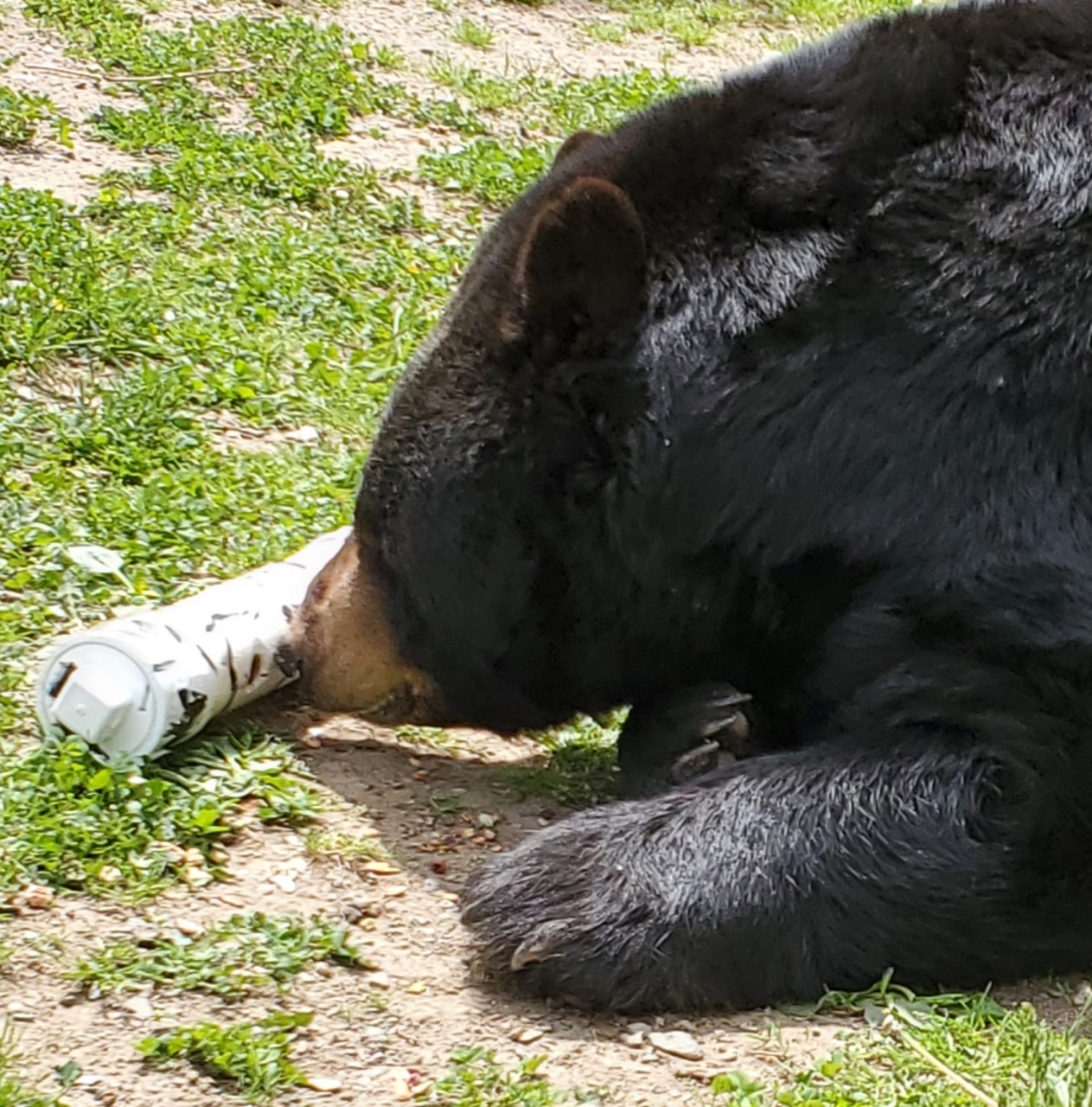 Ted and the new tube