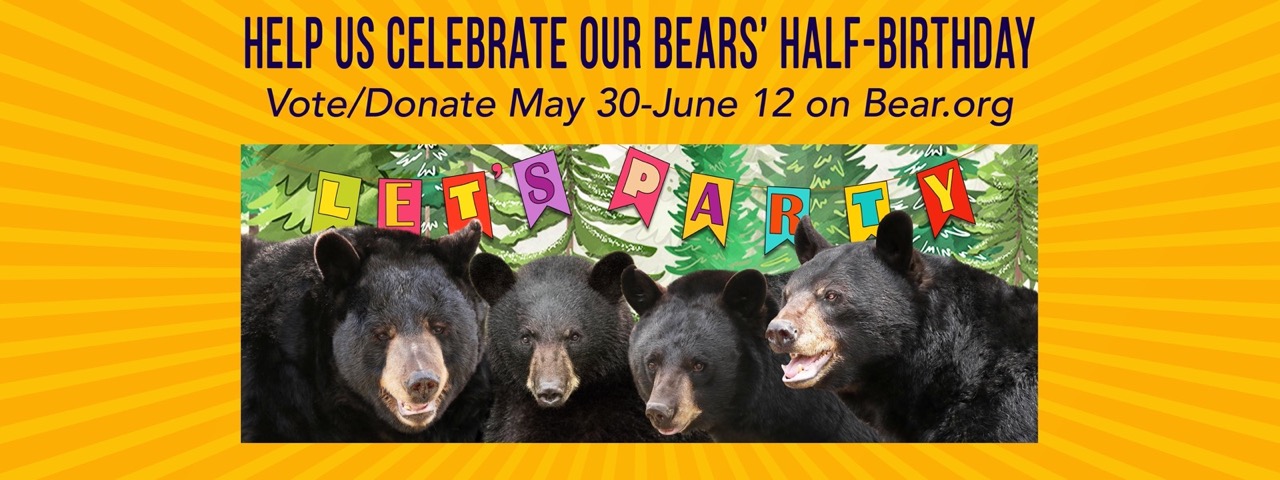 Donate to the Bears' Half Birthday