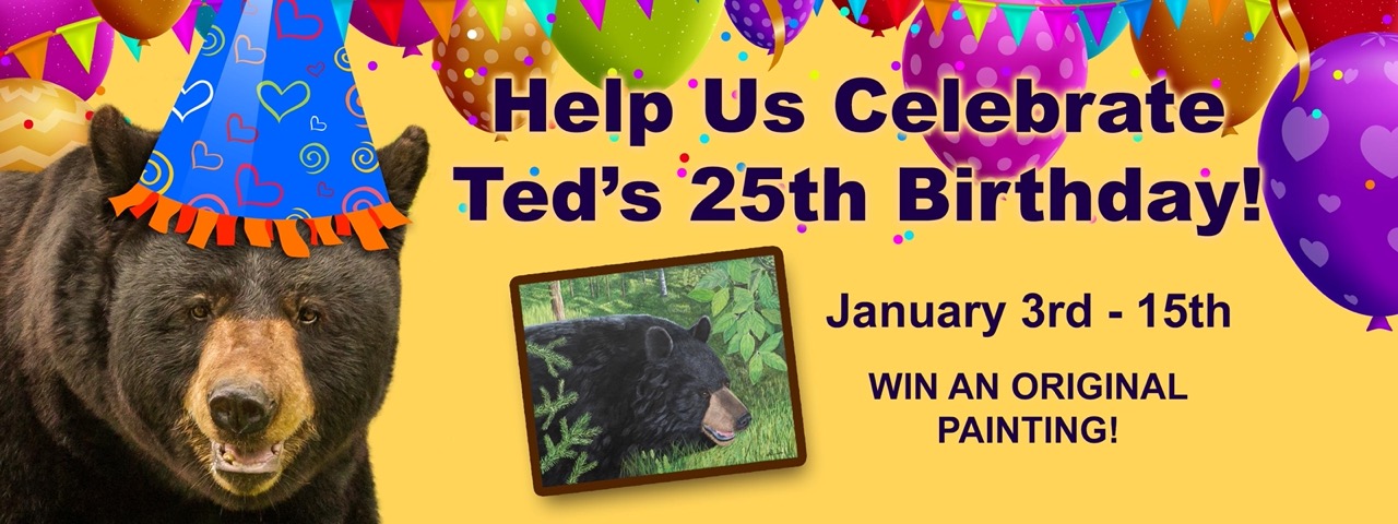 Ted's Birthday
