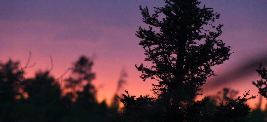Sundown