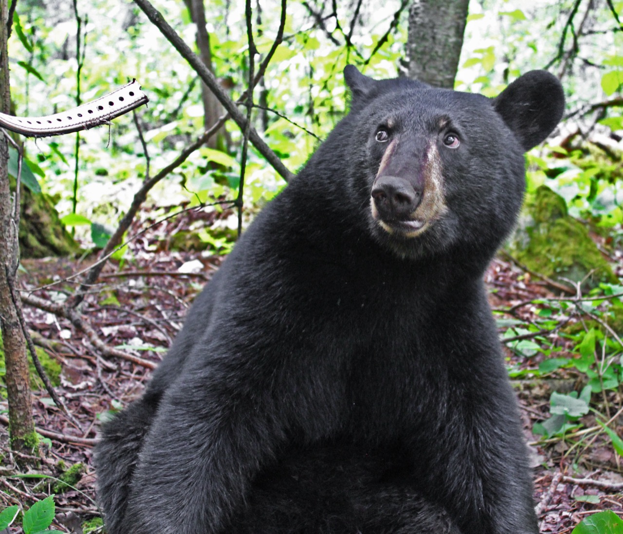 Hope 8-16-11 by Jackie Runions