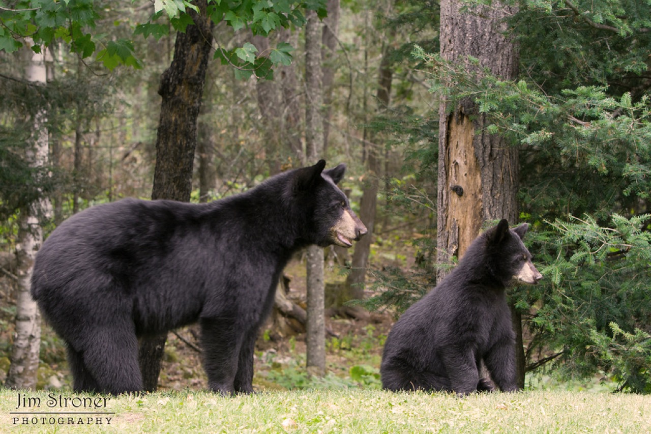 Hope and Faith by Jim Stroner