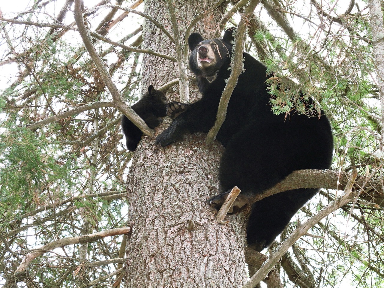 Lily and Hope 4-2-2010