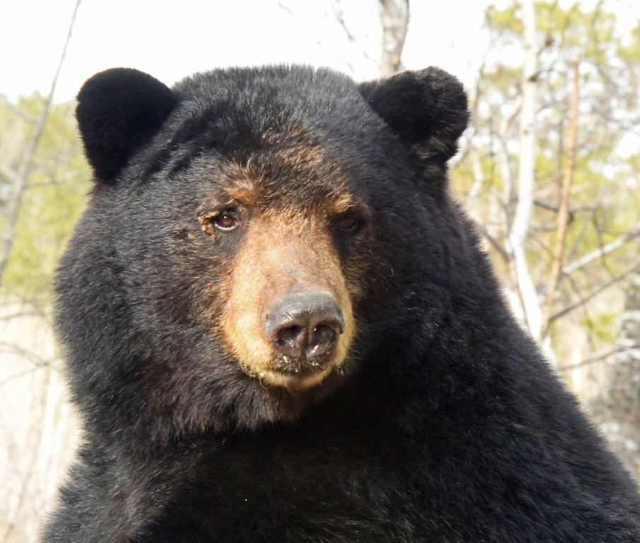 And the First Sighting iiisss.....SPANKY!!! - UPDATE March 26, 2026