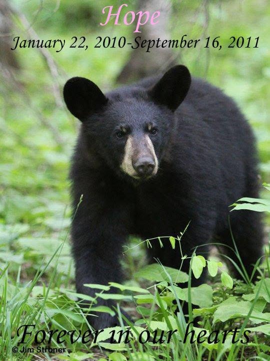 Photo of Hope by J Stroner with words by Jessica Higgins