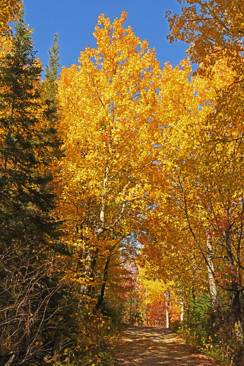 20261012 WRI driveway
