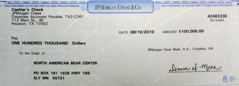 1st_copy_of_Chase_check_2010_2