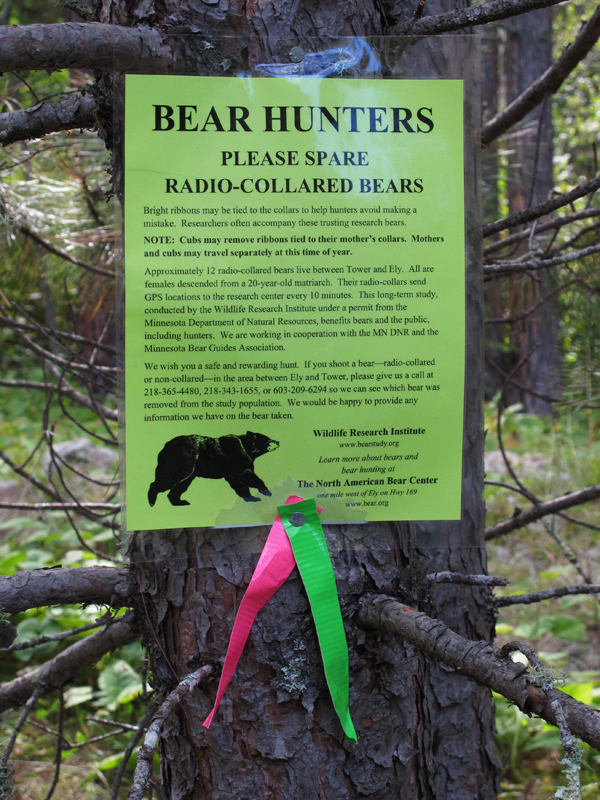 Bear Hunter Sign