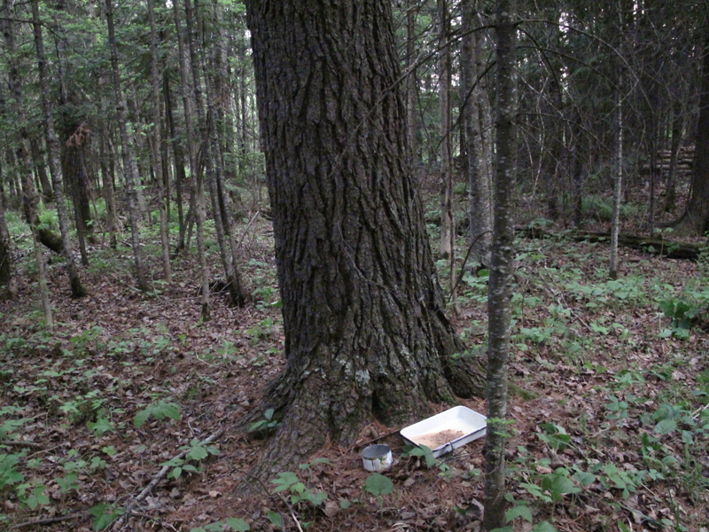 Food for Hope - May 25, 2010