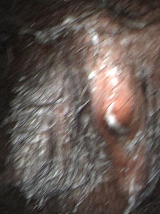 Got Milk? - August 2, 2010