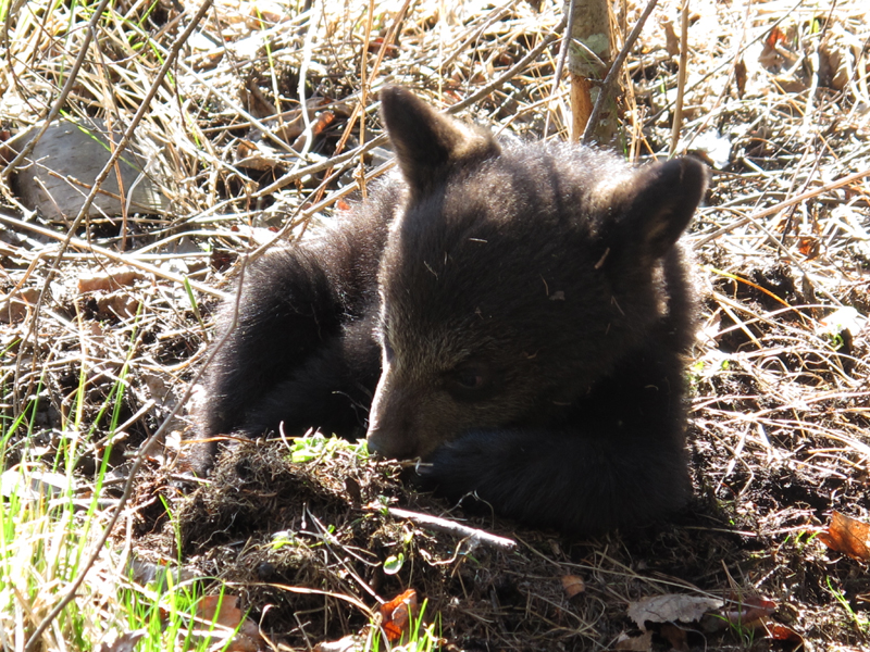 Hope - April 21, 2010