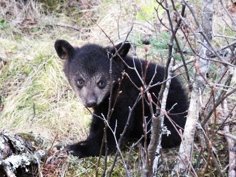 Hope - April 14, 2010