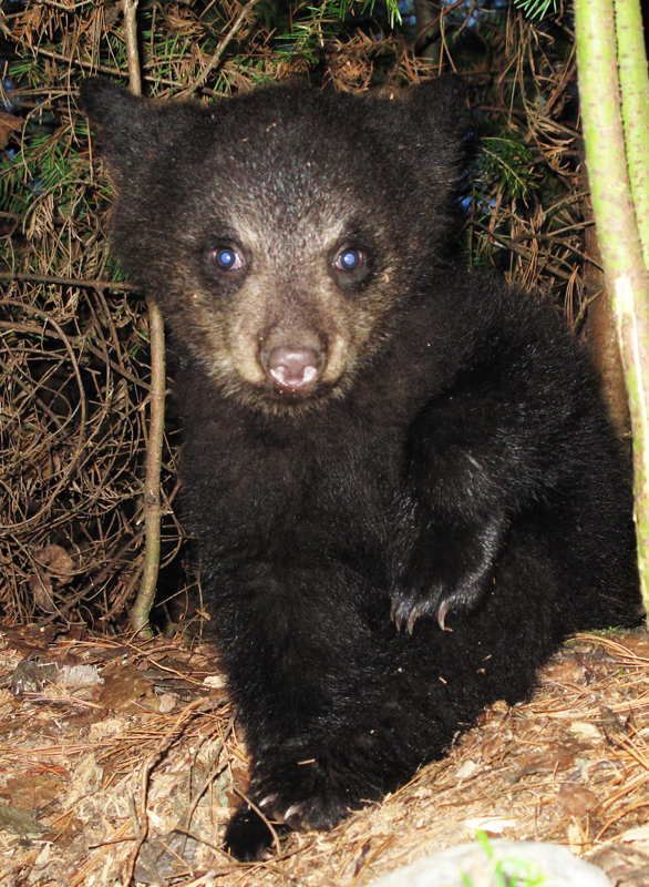 Hope - April 18, 2010