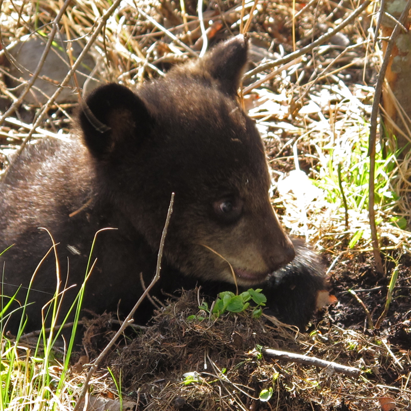 Hope - April 21, 2010