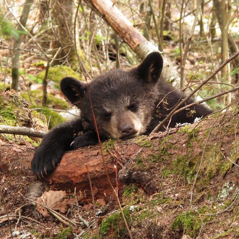 Hope - April 28, 2010