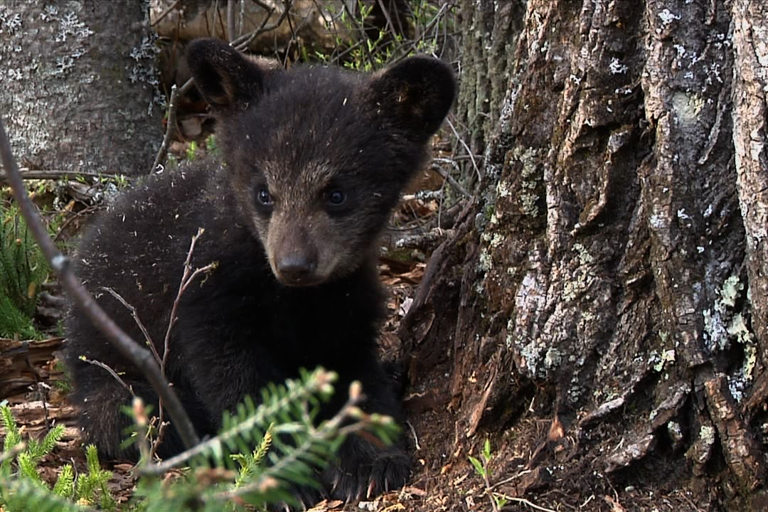 Hope - April 28, 2010