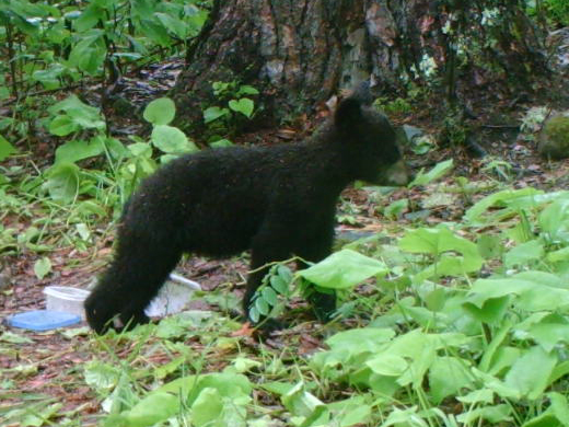 Hope - June 11, 2010