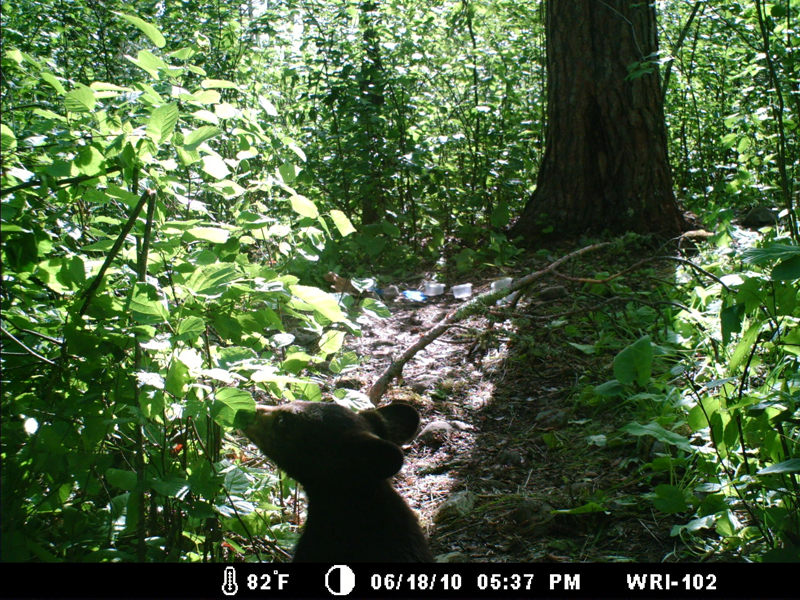 Hope - June 18, 2010