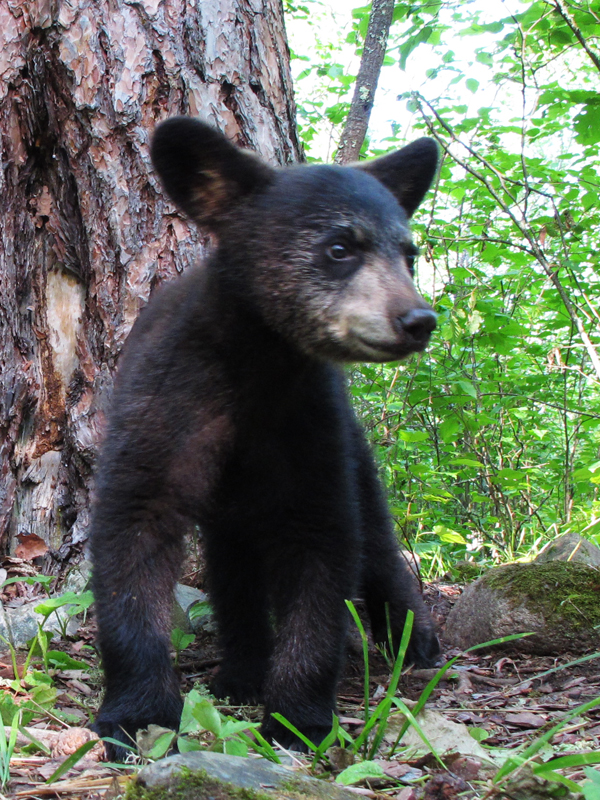 Hope - June 20, 2010