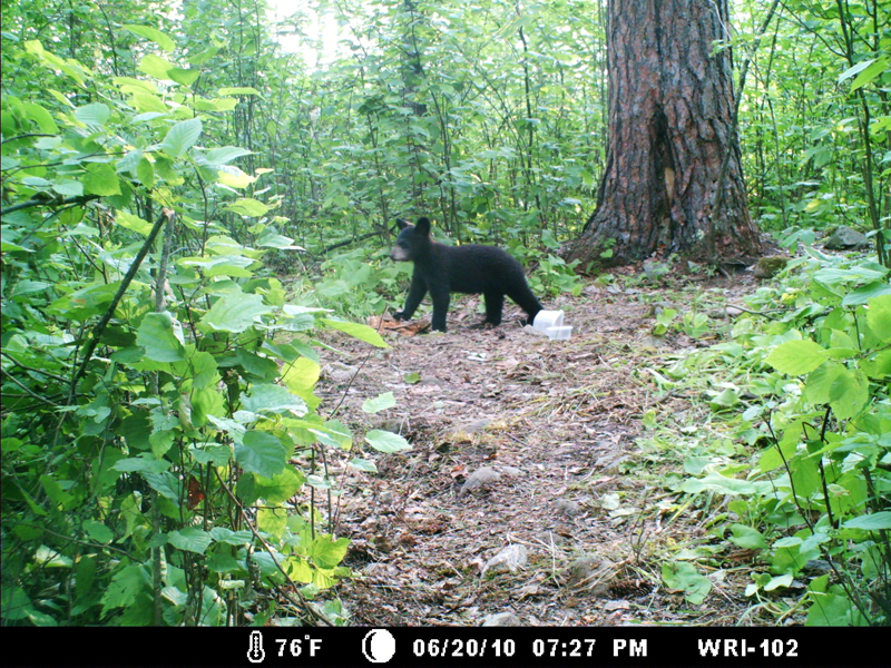 Hope - June 20, 2010