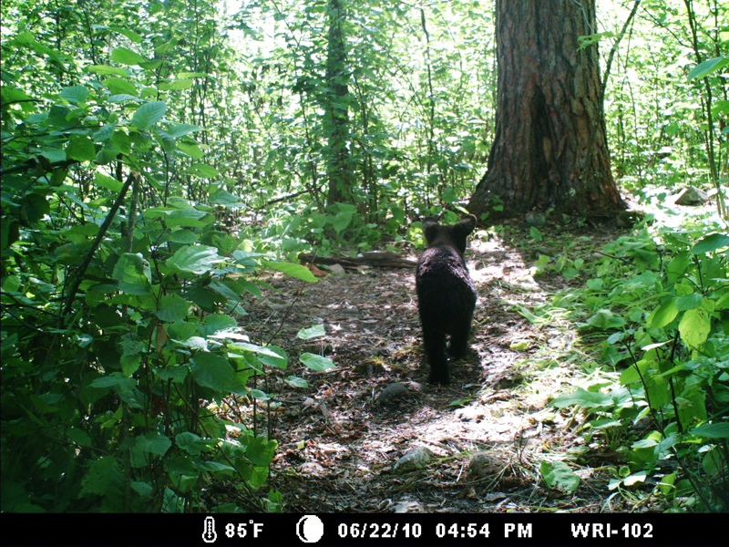 Hope - June 22, 2010