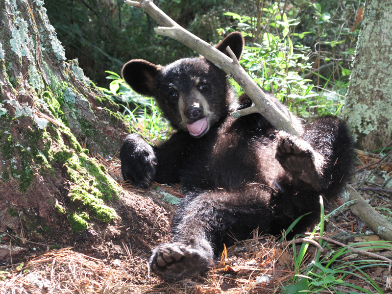 Hope - June 28, 2010