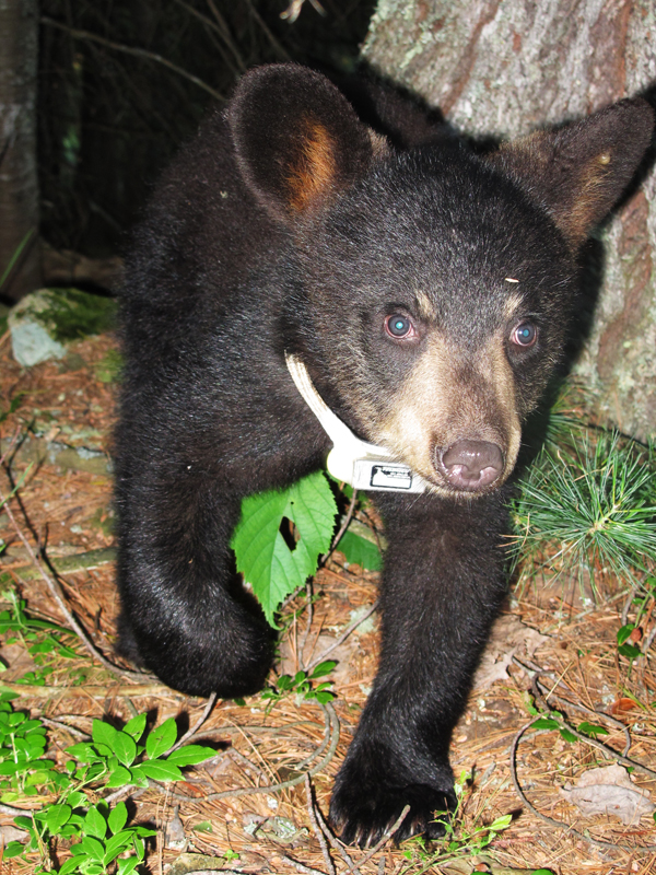 Hope - June 29, 2010