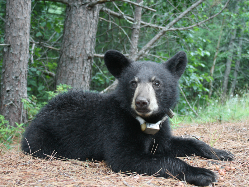 Hope - July 27, 2010