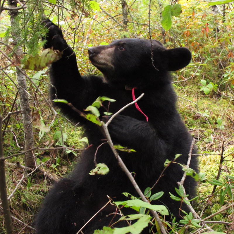 Hope - September 17, 2010