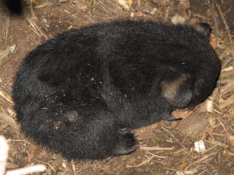 Hope - March 18, 2010