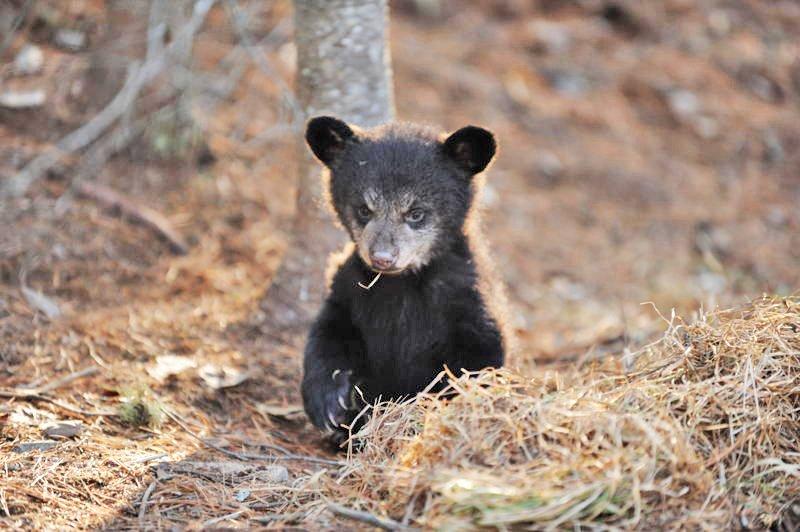 Hope at edge of bed - April 7, 2010