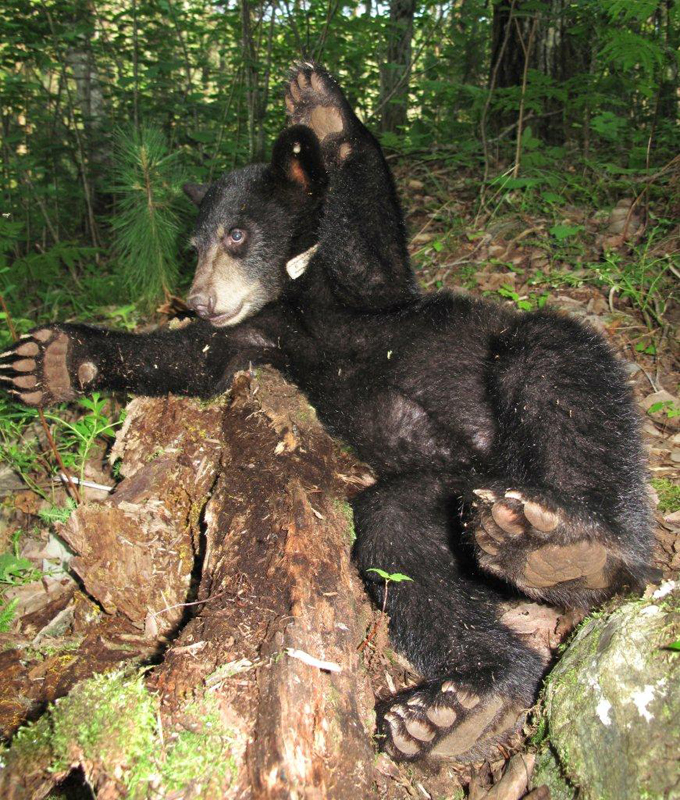 Hope - July 10, 2010