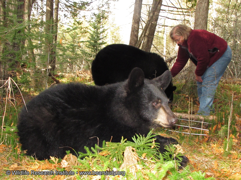 Hope_Lily_Sue_-_20101019