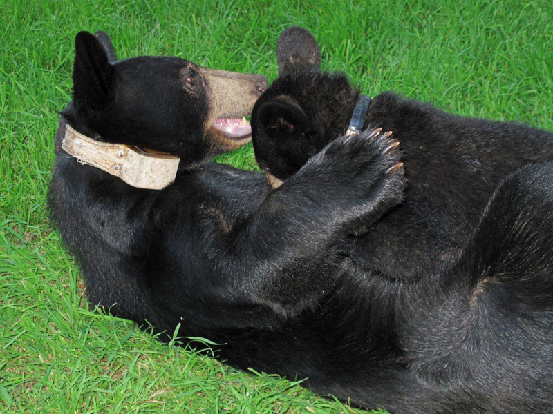 Hope nursing - Jjuly 18, 2010