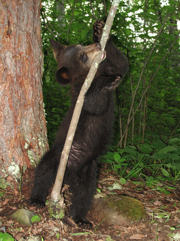 Hope standing - June 13, 2010